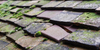 Carmel roof repair costs